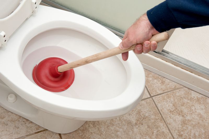 Toilet Plunging